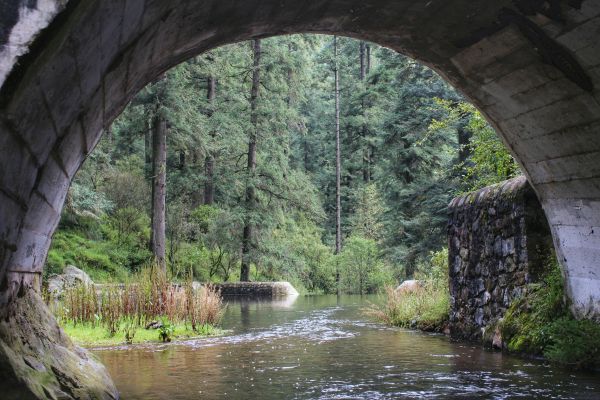 foto:Santos  Resendiz Romero - lo hecho en México