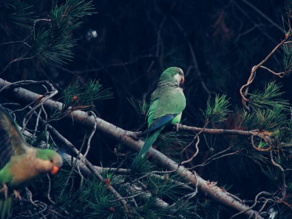 foto:Luis Fernando Rojas Sámano - lo hecho en México
