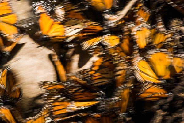 foto:Sofia Arroyo Pérez - lo hecho en México