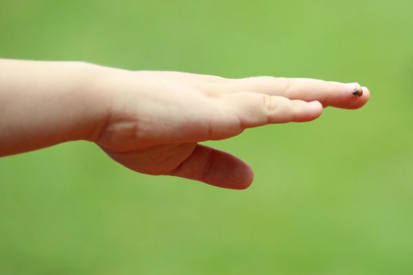 foto:Maria de los Angeles Orvañanos Rodriguez - lo hecho en México