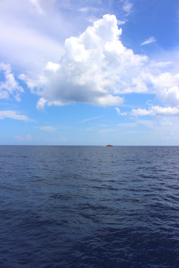 foto:Luis Mauricio Lugo Estrada - lo hecho en México