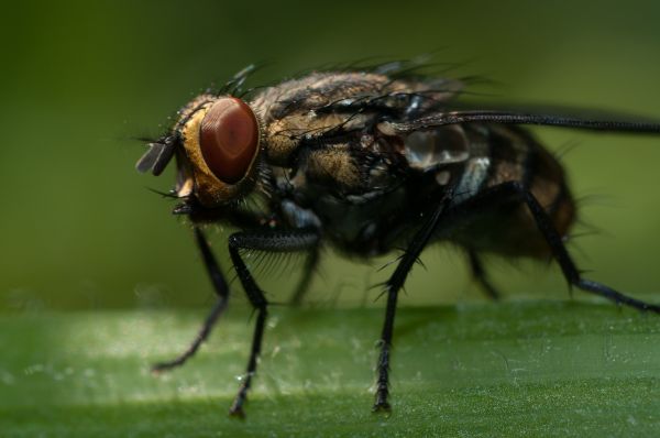 foto:Edgar Isaac Hernández Burgos - lo hecho en México