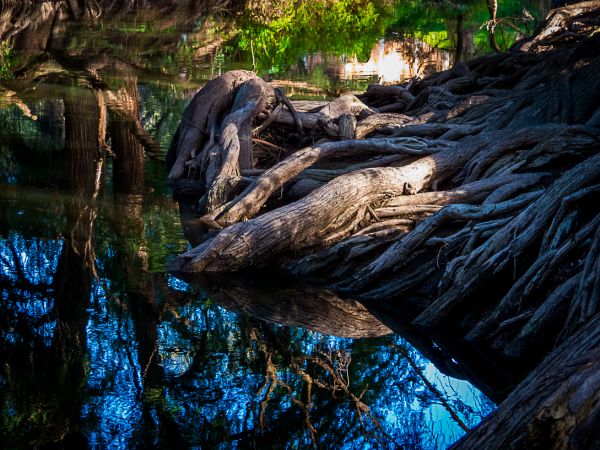 foto:Juan Manuel Salazar  López - lo hecho en México