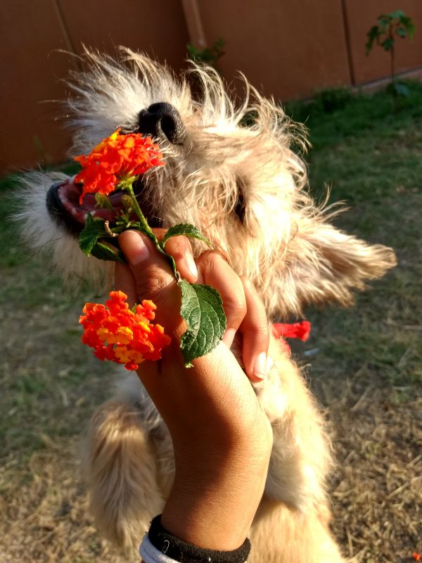 foto:Anaid Juárez Pérez - lo hecho en México