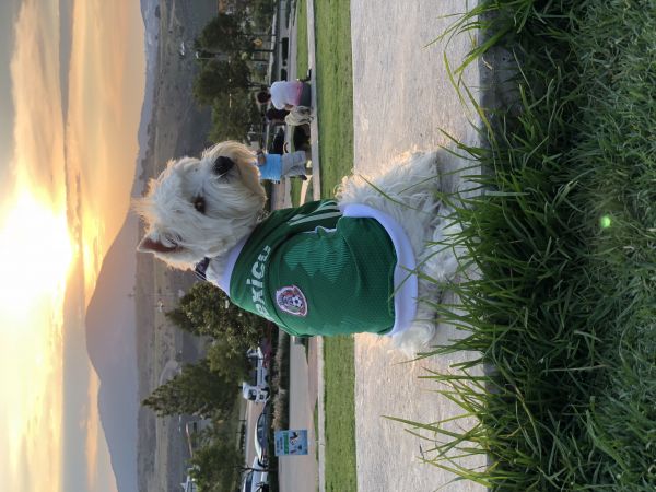 foto:LIZA MISSHEL  VELAZCO TORRES - lo hecho en México