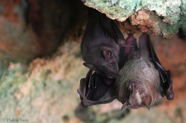 foto:Pedro Yuit Mex - lo hecho en México