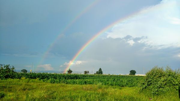 foto:Estefania Elias Duharte - lo hecho en México