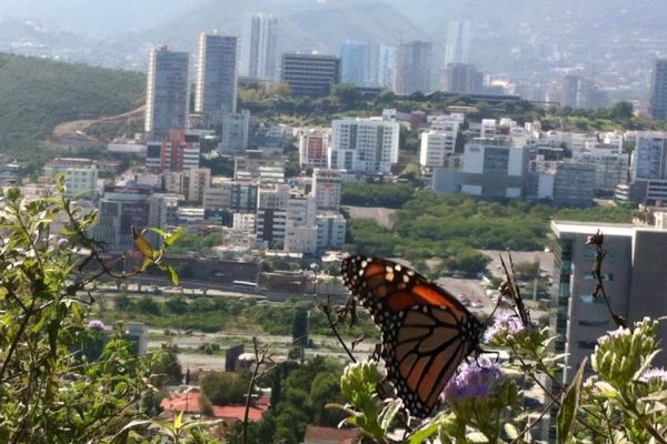 foto:Leticia Martínez  Padilla - lo hecho en México