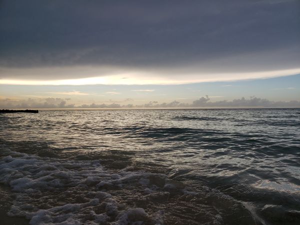 foto:Luis Carlos Canto  Concha - lo hecho en México