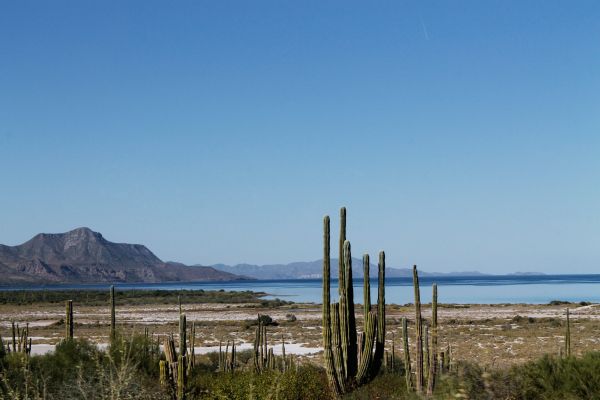 foto:Patricia Magaña Espinoza - lo hecho en México