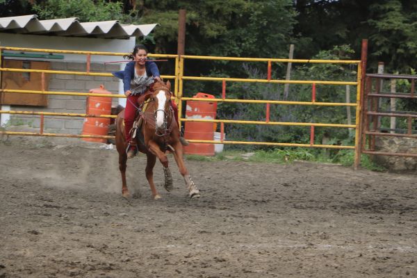 foto:Víctor Manuel  Rodríguez  Reynoso - lo hecho en México