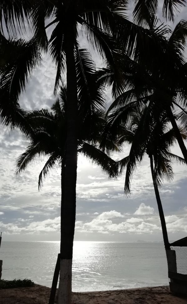 foto:Gloria Alejandra Calleros Gómez - lo hecho en México