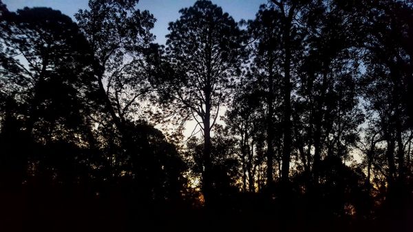 foto:Armando Lopez  Salas - lo hecho en México