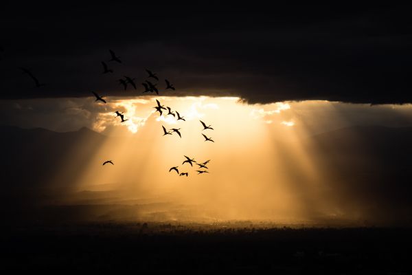 foto:Juan Oscar Cepeda Gutierrez - lo hecho en México