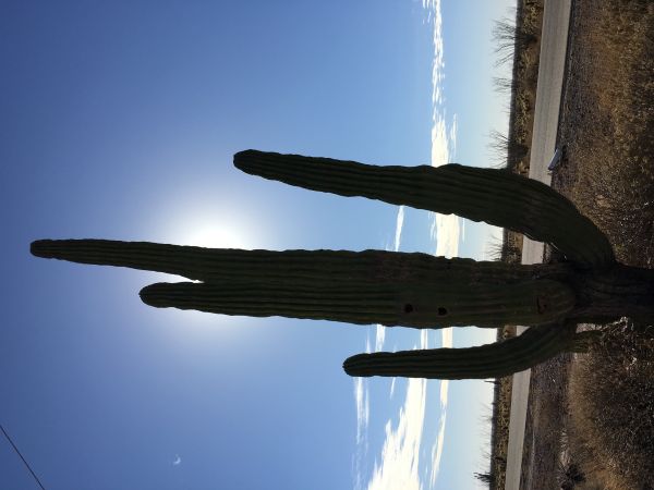 foto:Claudio Carrillo Gallegos - lo hecho en México