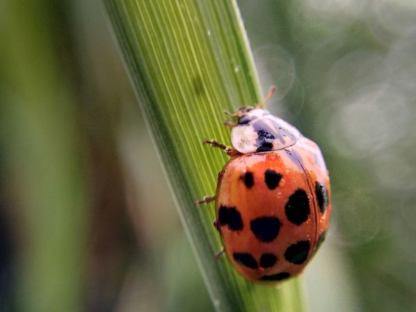 foto:Saúl Peralta Rodríguez - lo hecho en México