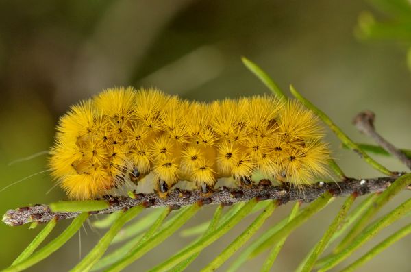 foto:Juan Carlos García  Morales - lo hecho en México