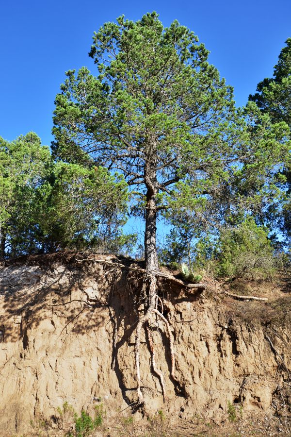 foto:Oscar David Garza Guerra - lo hecho en México