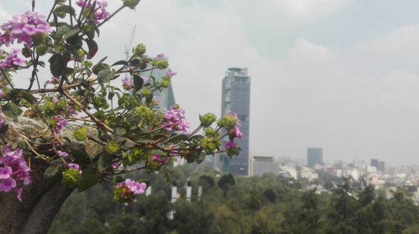 foto:Alejandro Carvajal Romero - lo hecho en México