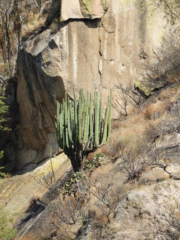foto:Irving Hernández Sánchez - lo hecho en México
