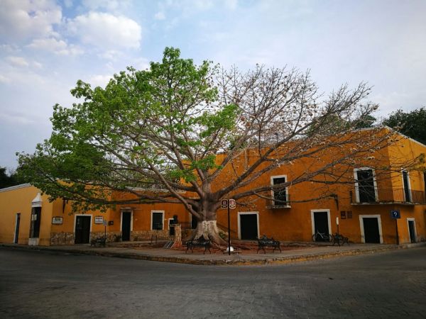 foto:Gloria Elvira  Lam Medina  - lo hecho en México