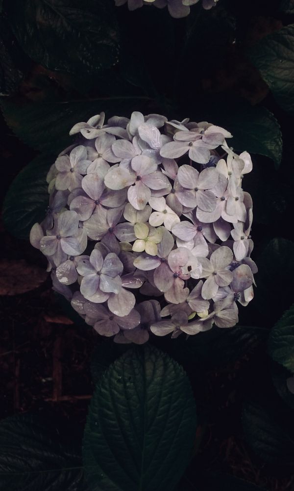 foto:Brian jesus Guzmán Viveros - lo hecho en México