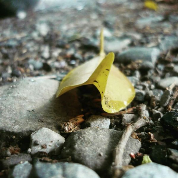 foto:Miguel Hernández  Martínez  - lo hecho en México