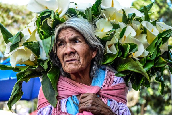 foto:Alan Israel Venegas Rangel - lo hecho en México