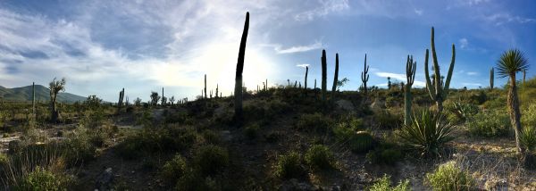 foto:Pablo Sajid Cruz  Diaz - lo hecho en México