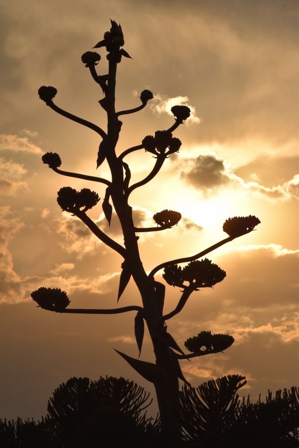 foto:jorge morales villanueva - lo hecho en México