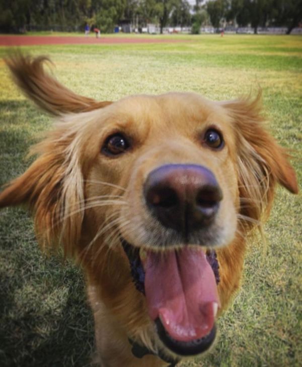 foto:Fernando  Vazquez Ornelas - lo hecho en México