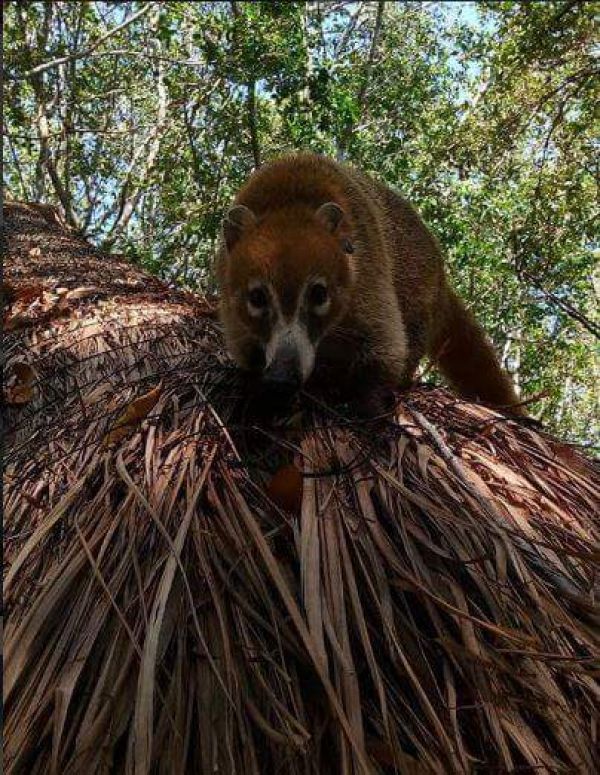 foto:Brisa Andoeni Jiménez Ramos - lo hecho en México