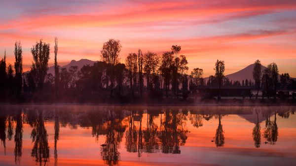 foto:JESÚS RAMOS GRANADOS - lo hecho en México
