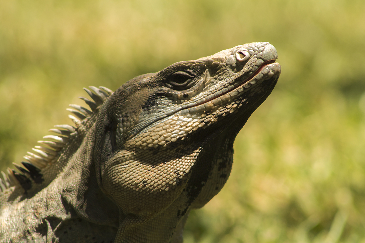 foto:Itzel Quiterio  Sánchez - lo hecho en México