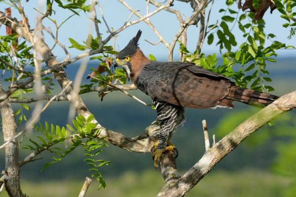 foto:Miguel Ángel Aguilar Gómez - lo hecho en México