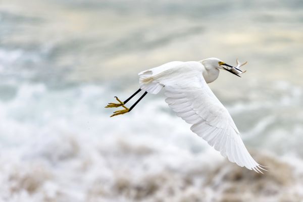 foto:Eva Sica - - lo hecho en México