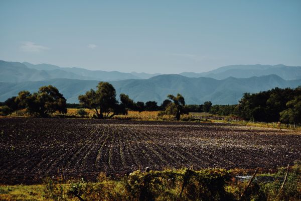 foto:Joseph Alexander  Guerra  Casas - lo hecho en México