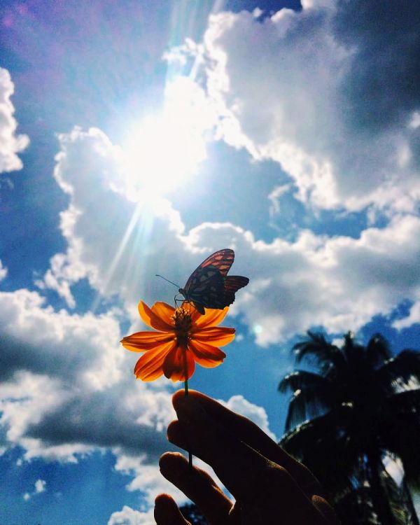 foto:Hernán  Caro Leal - lo hecho en México