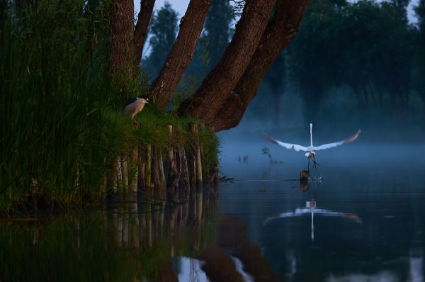 foto:Ricardo Perea Cajero - lo hecho en México