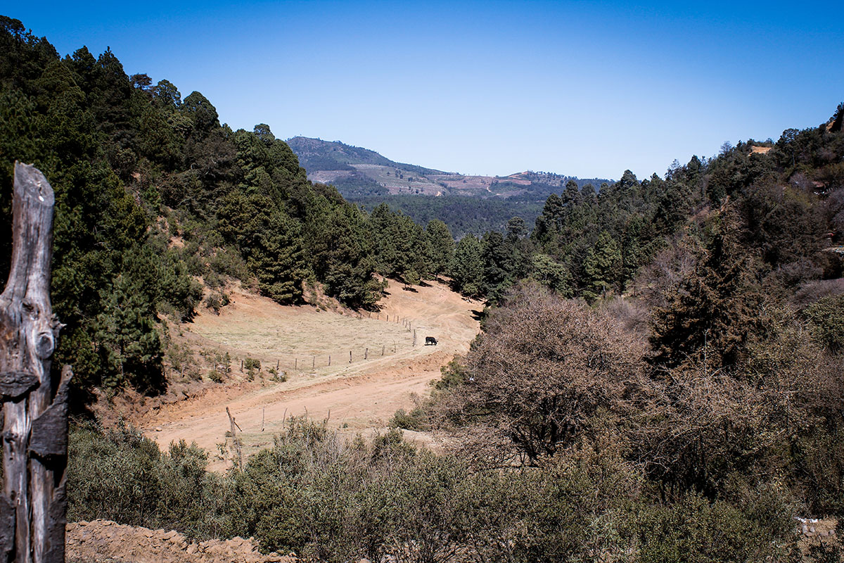 foto:Anibal  Oseguera Zuñiga - lo hecho en México