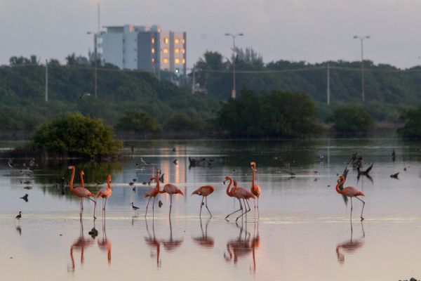foto:Miguel Diaz Perez - lo hecho en México