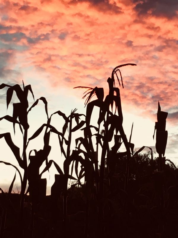 foto:José antonio Salas Saucedo - lo hecho en México