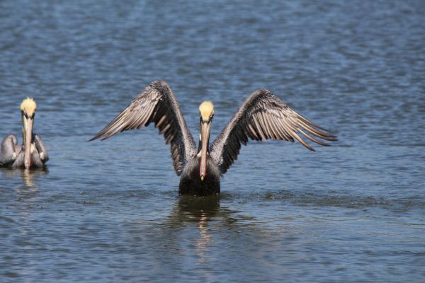 foto:Kennia Pérez  Díaz  - lo hecho en México