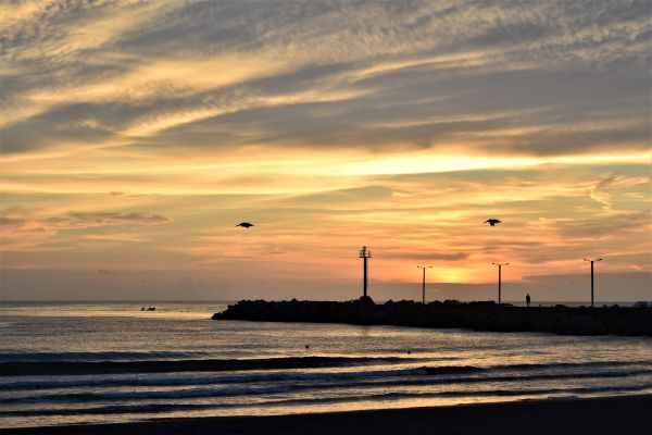 foto:JOSE CARLOS GONZALEZ GONZALEZ - lo hecho en México