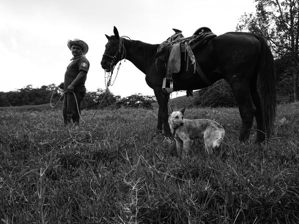 foto:Héctor Martínez Gonzalez - lo hecho en México