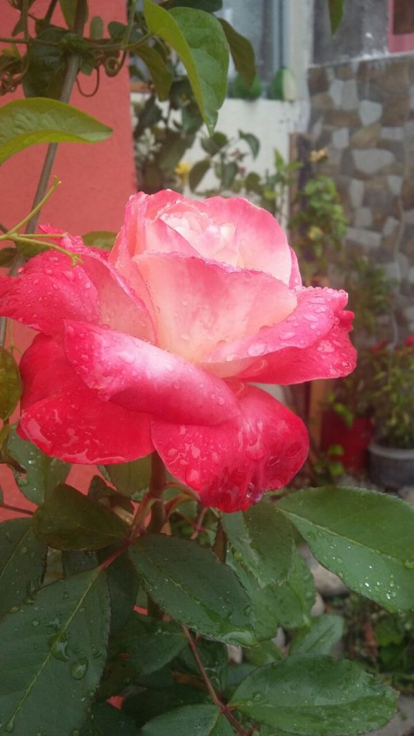 foto:Magdalena  Sánchez Luna - lo hecho en México