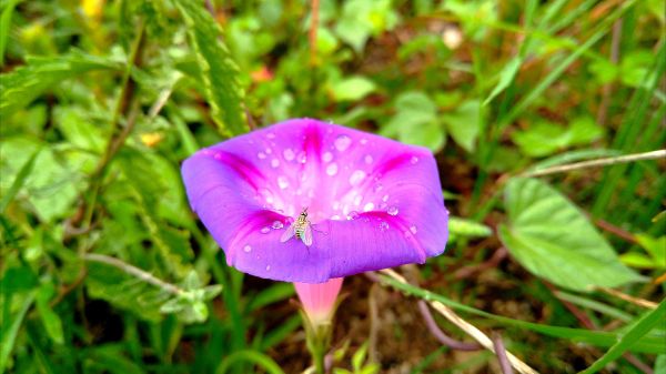 foto:Jesús Ríos Ramírez - lo hecho en México