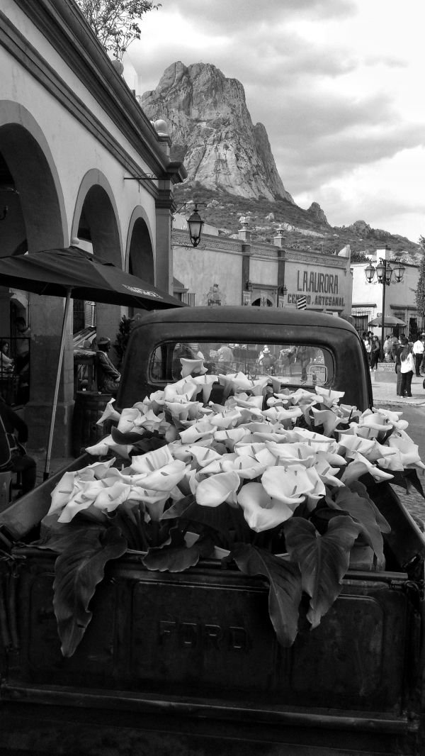 foto:Gustavo Utrilla Domínguez - lo hecho en México