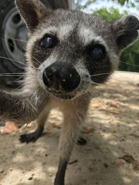 foto:Laura  Ordaz Carrillo - lo hecho en México