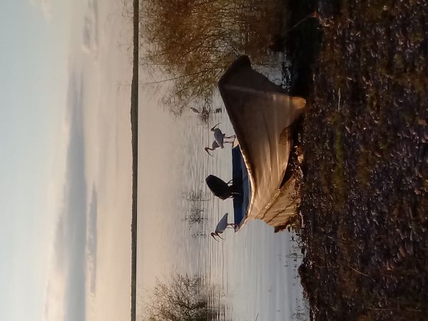 foto:Francisco José Aguirre Garza - lo hecho en México